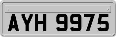 AYH9975