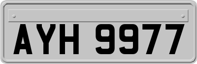 AYH9977