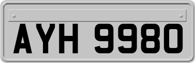 AYH9980