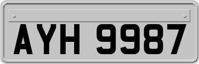 AYH9987