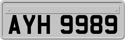 AYH9989