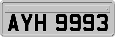AYH9993