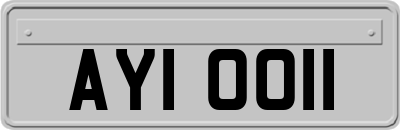 AYI0011