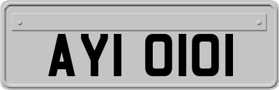 AYI0101