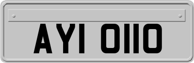 AYI0110