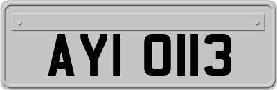 AYI0113