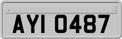 AYI0487