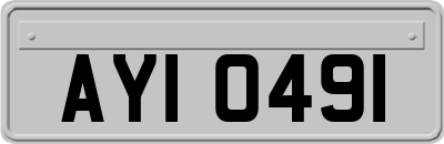 AYI0491