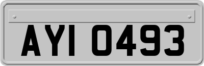 AYI0493