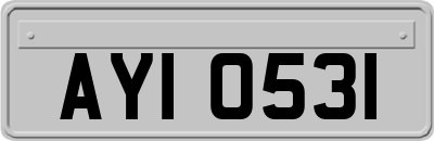 AYI0531