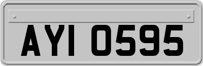 AYI0595