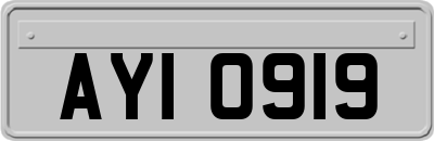 AYI0919