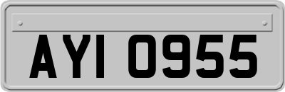 AYI0955