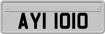 AYI1010