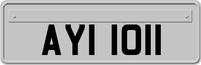 AYI1011