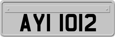 AYI1012