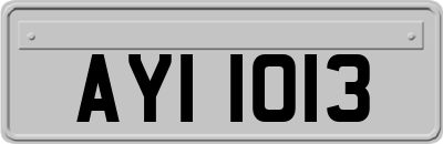 AYI1013
