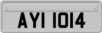 AYI1014