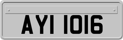 AYI1016