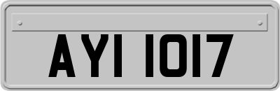 AYI1017