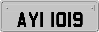 AYI1019