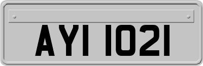 AYI1021