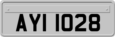 AYI1028