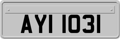 AYI1031