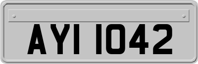 AYI1042