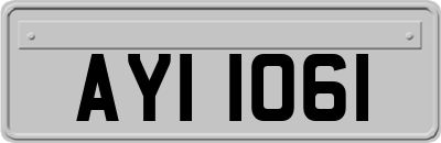 AYI1061