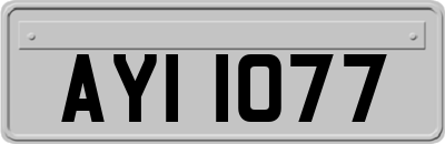 AYI1077