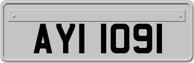 AYI1091