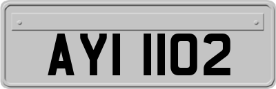 AYI1102
