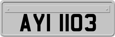 AYI1103