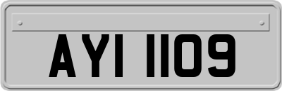 AYI1109