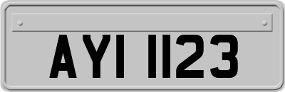 AYI1123