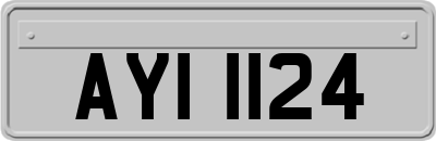 AYI1124