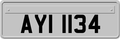 AYI1134