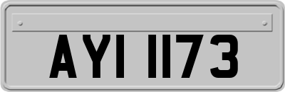 AYI1173