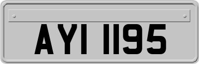 AYI1195