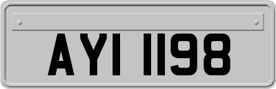 AYI1198