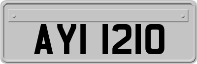 AYI1210
