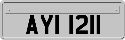AYI1211