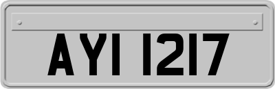 AYI1217