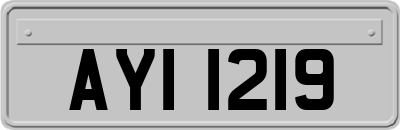 AYI1219