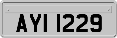 AYI1229