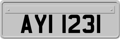 AYI1231