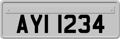 AYI1234