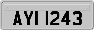 AYI1243