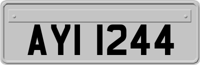 AYI1244